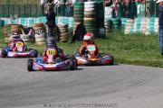 20110501_ales_agnus (2004)